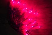 Pink Christmas lights