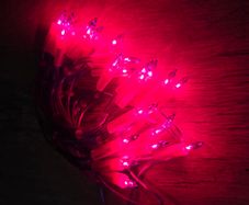 Pink Christmas lights