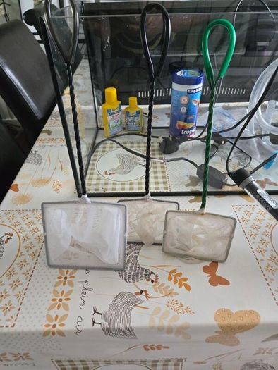 fish/turtle tank