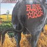 Blink 182. Collection: Enema Of The State / The Mark, Tom, And Travis Show / Dude Ranch. Image 6
