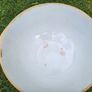 T.G. Green & Company Gripstand Bowl Image 5