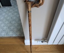 Walking stick
