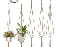 Plant hangers