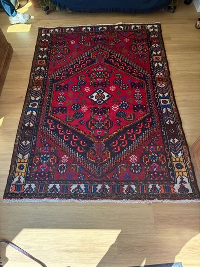 Persian Style Wool Rug