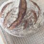 Sourdough starter Organic Image 6