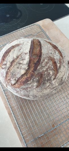 Sourdough starter Organic
