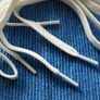Laces Ecco White Image 2
