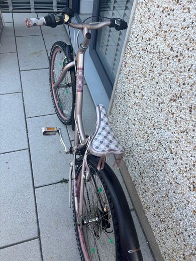 Girls Raleigh Bike