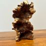 Parasite Wood Carved Horse Image 5