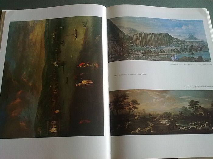 The Painters of Ireland c.1660-1920 Irish History Art