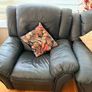 couch set Image 4