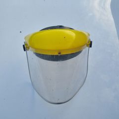 Strimming Helmet