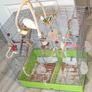 Cage Image 2