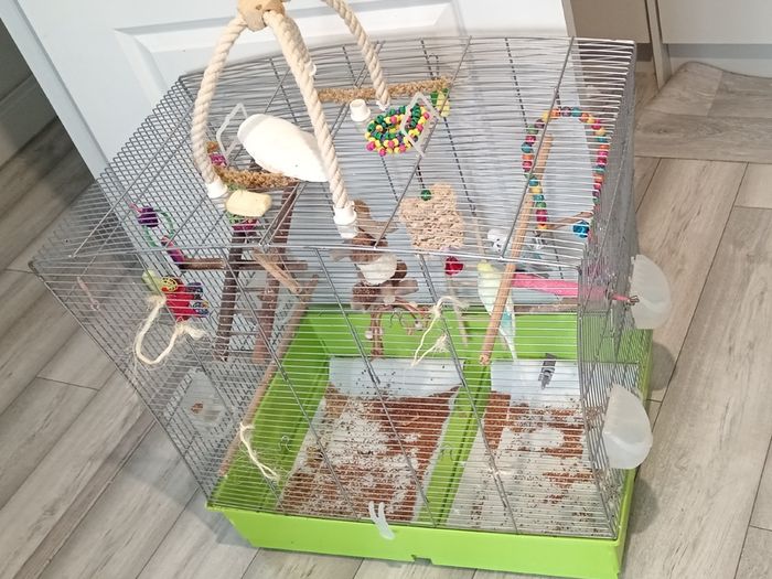 Birds cage and accessories