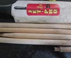 Cricket set