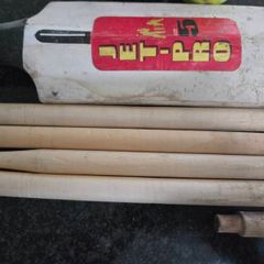 Cricket set