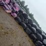 Silage bales Image 2
