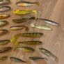 fishing lures pike perch Image 2