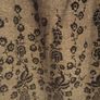 Dress Apricot Image 3