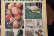 Practical Self-sufficiency. By Sally Taylor. Large Volume Hardback With Dustjacket In  Good Condition .