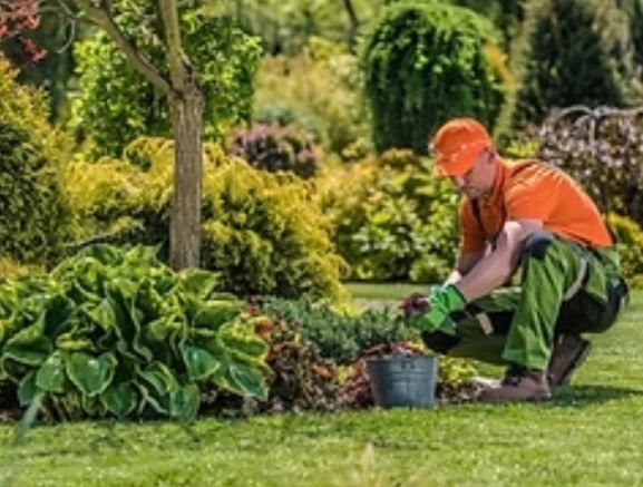 Professional Landscape Maintenance