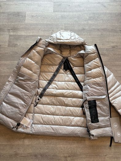 canada goose
