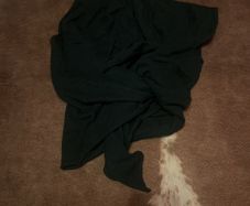 Cashmere vest /