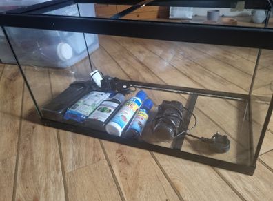 Aquarium - Fish Tank