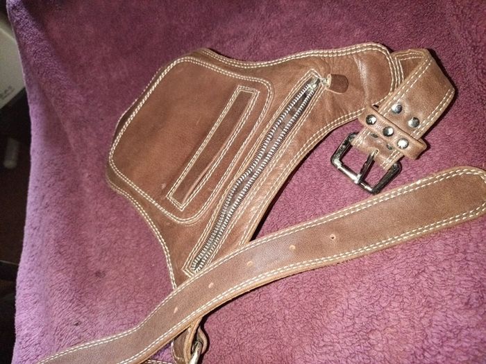thyme for ginger waist bag