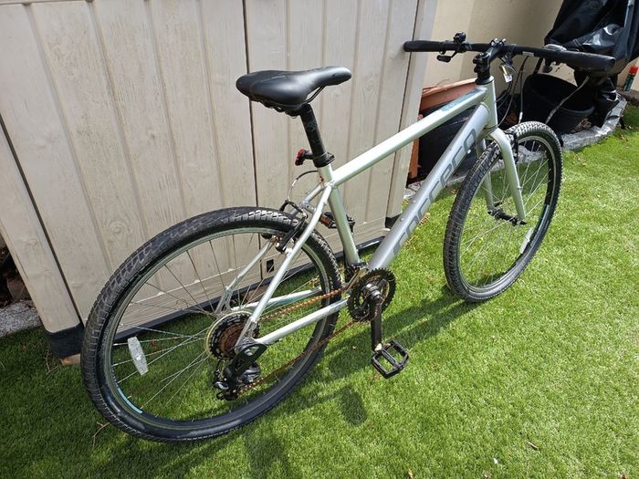 Hybrid Bicycle