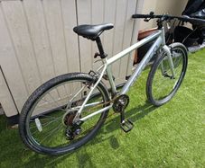 Hybrid Bicycle