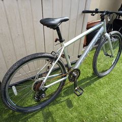 Hybrid Bicycle