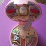 Polly Pocket ; Rare Vintage Bluebird Ballerina Rose Compact (SR 2) Image 2