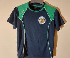 abu dhabi na fianna jersey