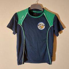 abu dhabi na fianna jersey