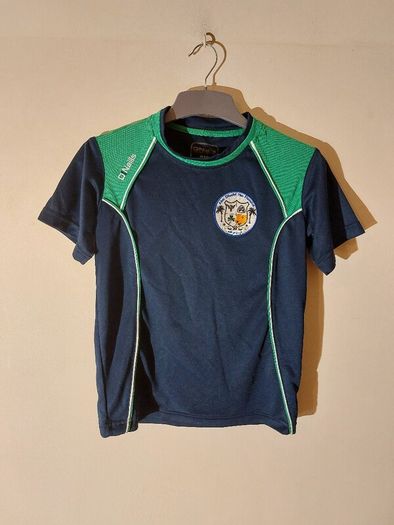 abu dhabi na fianna jersey