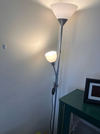 2 Floor Lamps