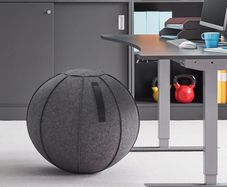 Exercise Ball with Cover / Active sitting