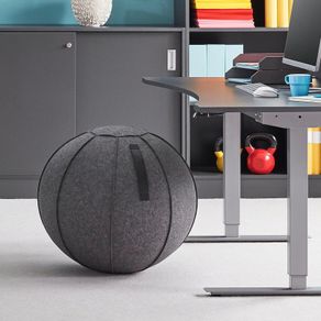 Exercise Ball with Cover / Active sitting