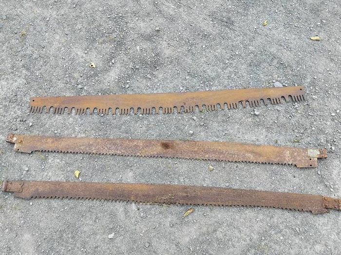 Three vintage crosscut saw blades,