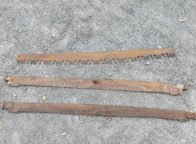 Three vintage crosscut saw blades,