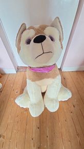 big teddy bear