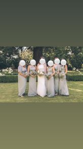 Wedding dress and bridesmaids dresses