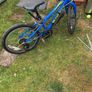 bike Image 6