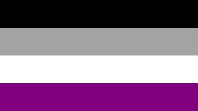 Asexual Pride flag 5' x 3' FREE POST