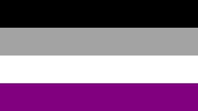 Asexual Pride flag 5' x 3' FREE POST