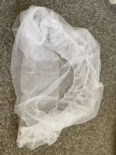 Insect net for buggy
