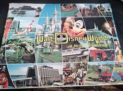 Vintage Walt Disney World a Pictorial souvenir 40 pictures