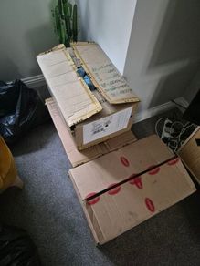job lot clothing