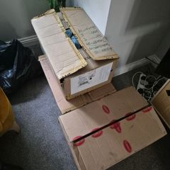 job lot clothing